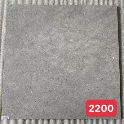 Sàn nhựa dán keo IS 2200